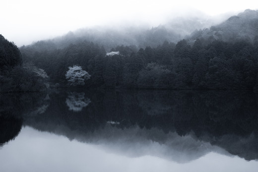 965321 (a): :2048x1365